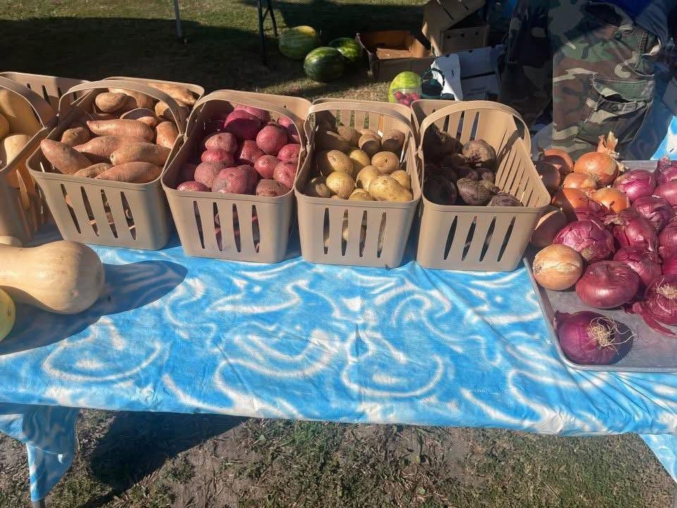 Farmers Market of Mexico Beach